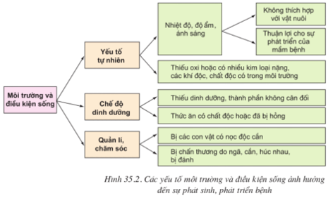 Lý thuyết Công nghệ 10 Bài 35: Điều kiện phát sinh, phát triển bệnh ở vật nuôi hay, ngắn gọn | Lý thuyết Công nghệ 10 đầy đủ nhất