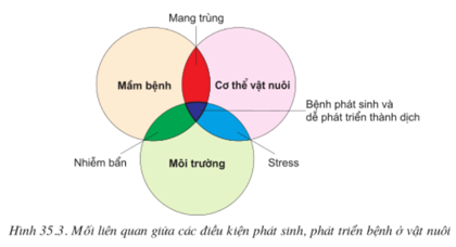 Lý thuyết Công nghệ 10 Bài 35: Điều kiện phát sinh, phát triển bệnh ở vật nuôi hay, ngắn gọn | Lý thuyết Công nghệ 10 đầy đủ nhất