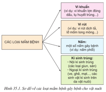 Lý thuyết Công nghệ 10 Bài 35: Điều kiện phát sinh, phát triển bệnh ở vật nuôi hay, ngắn gọn | Lý thuyết Công nghệ 10 đầy đủ nhất