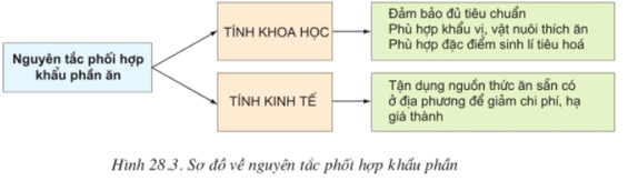 Lý thuyết Công nghệ 10 Bài 28: Nhu cầu dinh dưỡng của vật nuôi hay, ngắn gọn | Lý thuyết Công nghệ 10 đầy đủ nhất