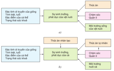 Lý thuyết Công nghệ 10 Bài 22: Quy luật sinh trưởng, phát dục của vật nuôi hay, ngắn gọn | Lý thuyết Công nghệ 10 đầy đủ nhất