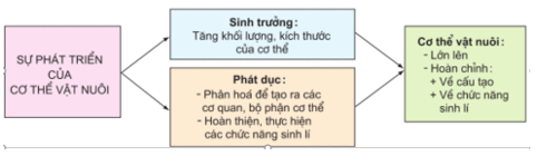 Lý thuyết Công nghệ 10 Bài 22 Kết nối tri thức, Cánh diều, Chân trời sáng tạo | Lý thuyết Công nghệ 10 đầy đủ nhất