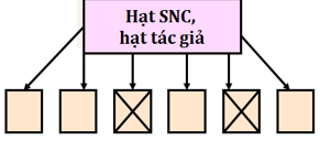 Lý thuyết Công nghệ 10 Bài 3 Kết nối tri thức, Cánh diều, Chân trời sáng tạo | Lý thuyết Công nghệ 10 đầy đủ nhất