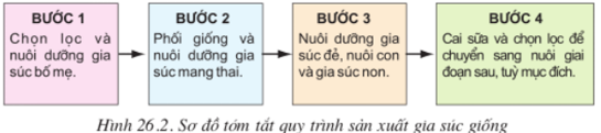 Lý thuyết Công nghệ 10 Bài 26: Sản xuất giống trong chăn nuôi và thủy sản hay, ngắn gọn | Lý thuyết Công nghệ 10 đầy đủ nhất