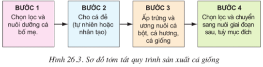 Lý thuyết Công nghệ 10 Bài 26: Sản xuất giống trong chăn nuôi và thủy sản hay, ngắn gọn | Lý thuyết Công nghệ 10 đầy đủ nhất