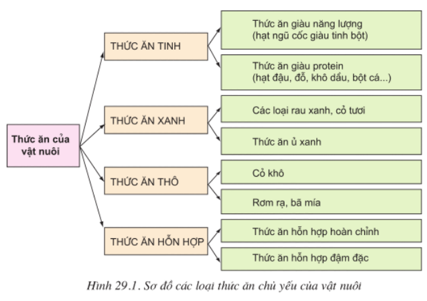 Lý thuyết Công nghệ 10 Bài 29: Sản xuất thức ăn cho vật nuôi hay, ngắn gọn | Lý thuyết Công nghệ 10 đầy đủ nhất