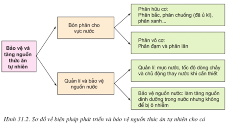 Lý thuyết Công nghệ 10 Bài 31: Sản xuất thức ăn nuôi thủy sản hay, ngắn gọn | Lý thuyết Công nghệ 10 đầy đủ nhất