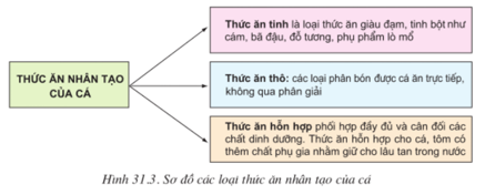 Lý thuyết Công nghệ 10 Bài 31: Sản xuất thức ăn nuôi thủy sản hay, ngắn gọn | Lý thuyết Công nghệ 10 đầy đủ nhất