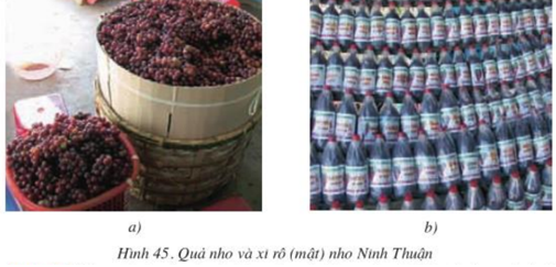 Lý thuyết Công nghệ 10 Bài 45: Thực hành: Chế biến xi rô từ quả hay, ngắn gọn | Lý thuyết Công nghệ 10 đầy đủ nhất