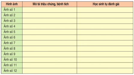 Lý thuyết, trắc nghiệm Công nghệ 10 Bài 36 có đáp án hay nhất | Lý thuyết Công nghệ 10 đầy đủ nhất