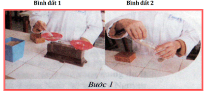 Lý thuyết Thực hành: Xác định độ chua của đất | Lý thuyết Công nghệ 10 đầy đủ nhất