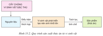 Lý thuyết Công nghệ 10 Bài 33: Ứng dụng công nghệ vi sinh để sản xuất thức ăn chăn nuôi hay, ngắn gọn | Lý thuyết Công nghệ 10 đầy đủ nhất