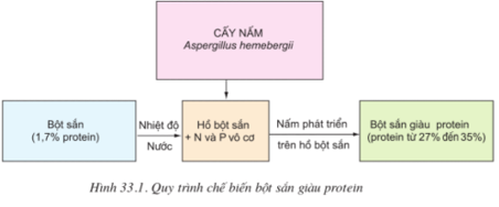 Lý thuyết Công nghệ 10 Bài 33: Ứng dụng công nghệ vi sinh để sản xuất thức ăn chăn nuôi hay, ngắn gọn | Lý thuyết Công nghệ 10 đầy đủ nhất