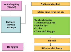 Lý thuyết Công nghệ 10 Bài 20: Ứng dụng công nghệ vi sinh sản xuất chế phẩm bảo vệ thực vật hay, ngắn gọn | Lý thuyết Công nghệ 10 đầy đủ nhất