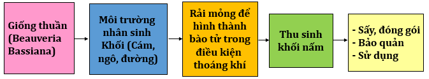 Lý thuyết Công nghệ 10 Bài 20: Ứng dụng công nghệ vi sinh sản xuất chế phẩm bảo vệ thực vật hay, ngắn gọn | Lý thuyết Công nghệ 10 đầy đủ nhất