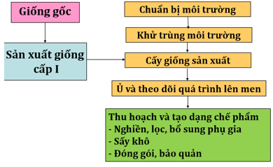 Lý thuyết Công nghệ 10 Bài 20: Ứng dụng công nghệ vi sinh sản xuất chế phẩm bảo vệ thực vật hay, ngắn gọn | Lý thuyết Công nghệ 10 đầy đủ nhất