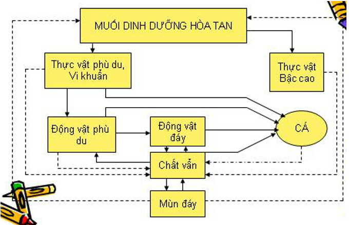 Giải bài tập Công nghệ 10 | Giải Công nghệ 10