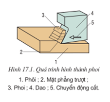 Lý thuyết Công nghệ 11 Bài 17 Kết nối tri thức, Cánh diều, Chân trời sáng tạo