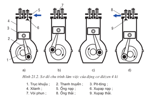 Lý thuyết Công nghệ 11 Bài 21 Kết nối tri thức, Cánh diều, Chân trời sáng tạo