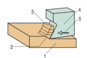 Trắc nghiệm Công nghệ 11 Bài 17 có đáp án mới nhất (ảnh 1)