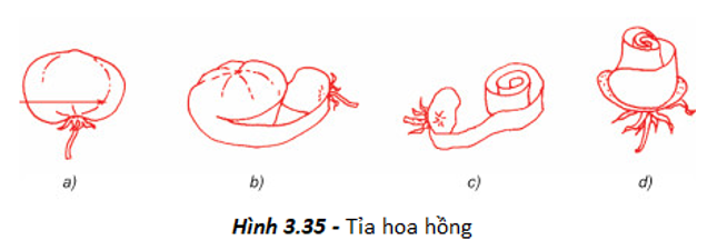 Giải bài tập công nghệ 6