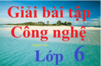 Công nghệ lớp 6 | Giải Công nghệ 6 Kết nối tri thức, Cánh diều, Chân trời sáng tạo hay, ngắn gọn | Soạn Công nghệ lớp 6