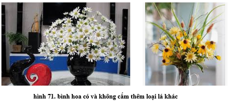 Lý thuyết Công nghệ 6 Bài 13: Cắm hoa trang trí (hay, chi tiết)