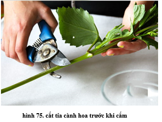 Lý thuyết Công nghệ 6 Bài 13: Cắm hoa trang trí (hay, chi tiết)