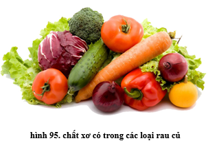 Lý thuyết Công nghệ 6 Bài 15: Cơ sở của ăn uống hợp lí (hay, chi tiết)