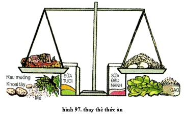 Lý thuyết Công nghệ 6 Bài 15: Cơ sở của ăn uống hợp lí (hay, chi tiết)