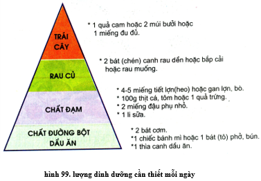 Lý thuyết Công nghệ 6 Bài 15: Cơ sở của ăn uống hợp lí (hay, chi tiết)