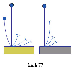 Lý thuyết Công nghệ 6 Bài 14: Thực hành - Cắm hoa (hay, chi tiết)