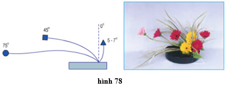 Lý thuyết Công nghệ 6 Bài 14: Thực hành - Cắm hoa (hay, chi tiết)