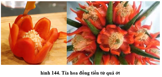 Lý thuyết Công nghệ 6 Bài 24: Thực hành - Tỉa hoa trang trí món ăn từ một số loại rau, củ , quả (hay, chi tiết)