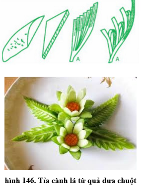 Lý thuyết Công nghệ 6 Bài 24: Thực hành - Tỉa hoa trang trí món ăn từ một số loại rau, củ , quả (hay, chi tiết)