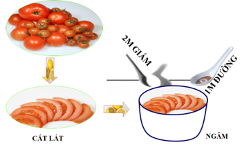 Lý thuyết Công nghệ 6 Bài 19: Thực hành - Trộn dầu giấm rau xà lách (hay, chi tiết)