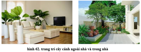 Lý thuyết Công nghệ 6 Bài 12: Trang trí nhà ở bằng cây cảnh và hoa (hay, chi tiết)