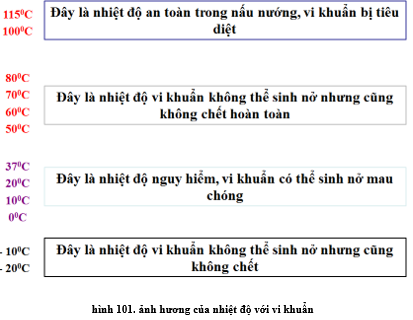 Lý thuyết Công nghệ 6 Bài 16: Vệ sinh an toàn thực phẩm (hay, chi tiết)