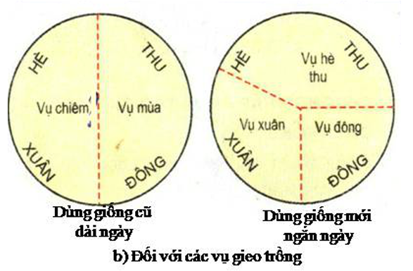 Giải bài tập Công nghệ 7 | Giải Công nghệ 7