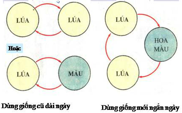 Giải bài tập Công nghệ 7 | Giải Công nghệ 7