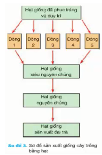 Giải bài tập Công nghệ 7 | Giải Công nghệ 7