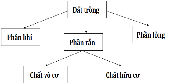 Lý thuyết Công nghệ 7 Bài 2: Khái niệm về đất trồng và thành phần cần đất trồng hay, ngắn gọn