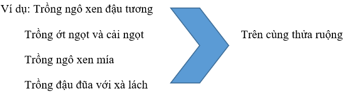 Lý thuyết Công nghệ 7 Bài 21: Luân canh, xen canh, tăng vụ hay, ngắn gọn