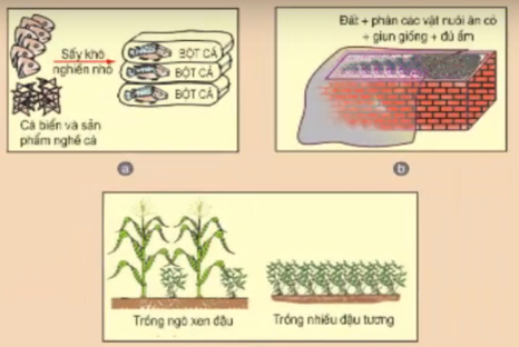 Lý thuyết Công nghệ 7 Bài 40: Sản xuất thức ăn vật nuôi hay, ngắn gọn