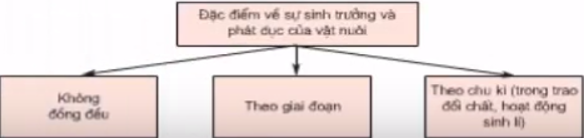 Lý thuyết Công nghệ 7 Bài 32: Sự sinh trưởng và phát dục của vật nuôi hay, ngắn gọn