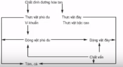 Lý thuyếtCông nghệ 7 Bài 52: Thức ăn của động vật thuỷ sản ( tôm, cá ) hay, ngắn gọn