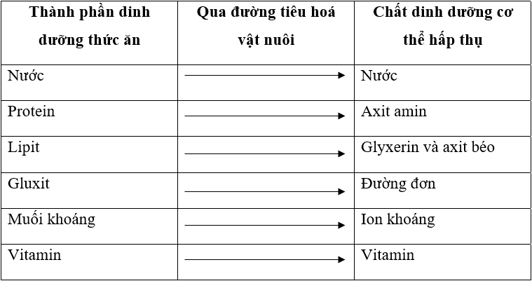 Lý thuyết Công nghệ 7 Bài 38: Vai trò của thức ăn đối với vật nuôi hay, ngắn gọn