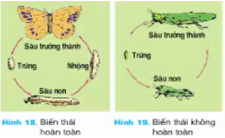 Giải bài tập Công nghệ 7 | Giải Công nghệ 7