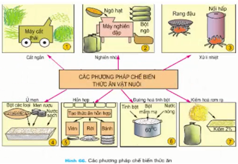 Giải bài tập Công nghệ 7 | Giải Công nghệ 7