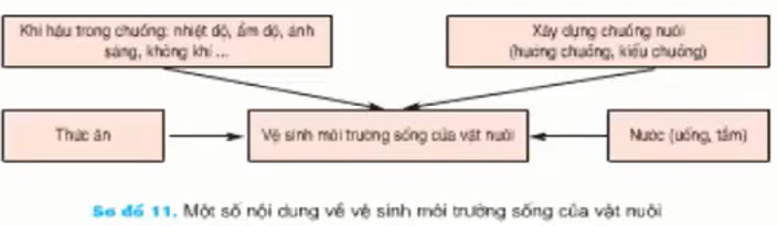 Giải bài tập Công nghệ 7 | Giải Công nghệ 7